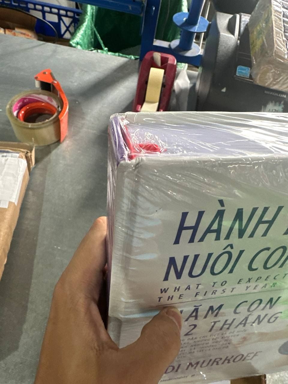 Hành Trình Nuôi Con: Chăm con 0-12 tháng