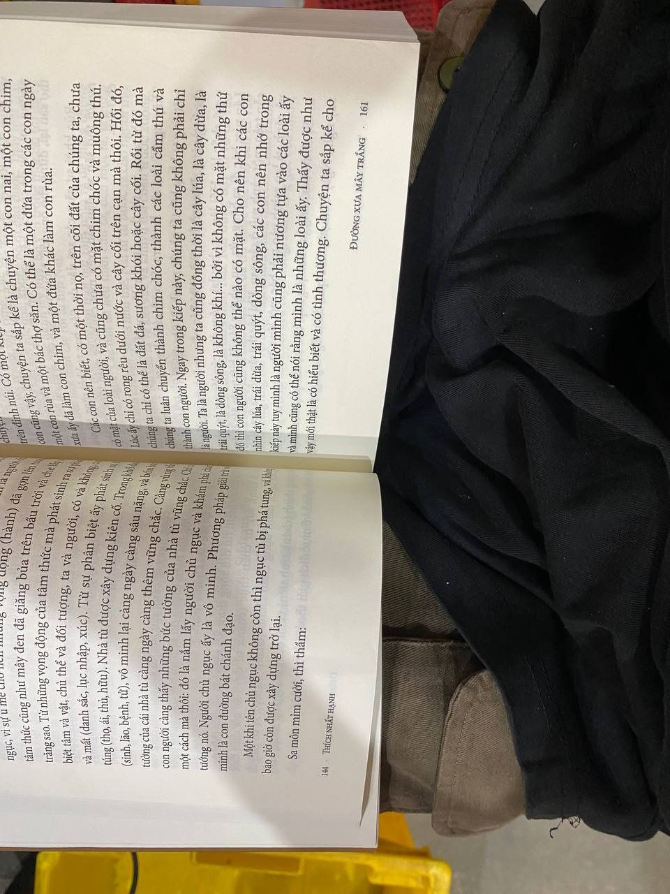 Đường Xưa Mây Trắng - Theo Gót Chân Bụt - Thích Nhất Hạnh - 2024 - Bìa mềm