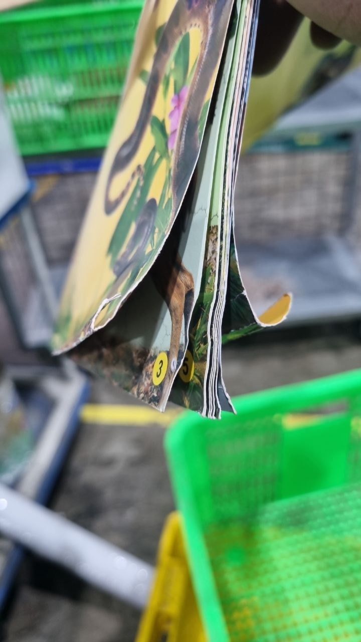 Thế Giới Động Vật