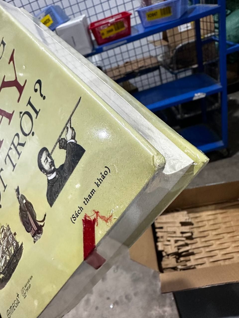 Tại Sao Phương Tây Vượt Trội