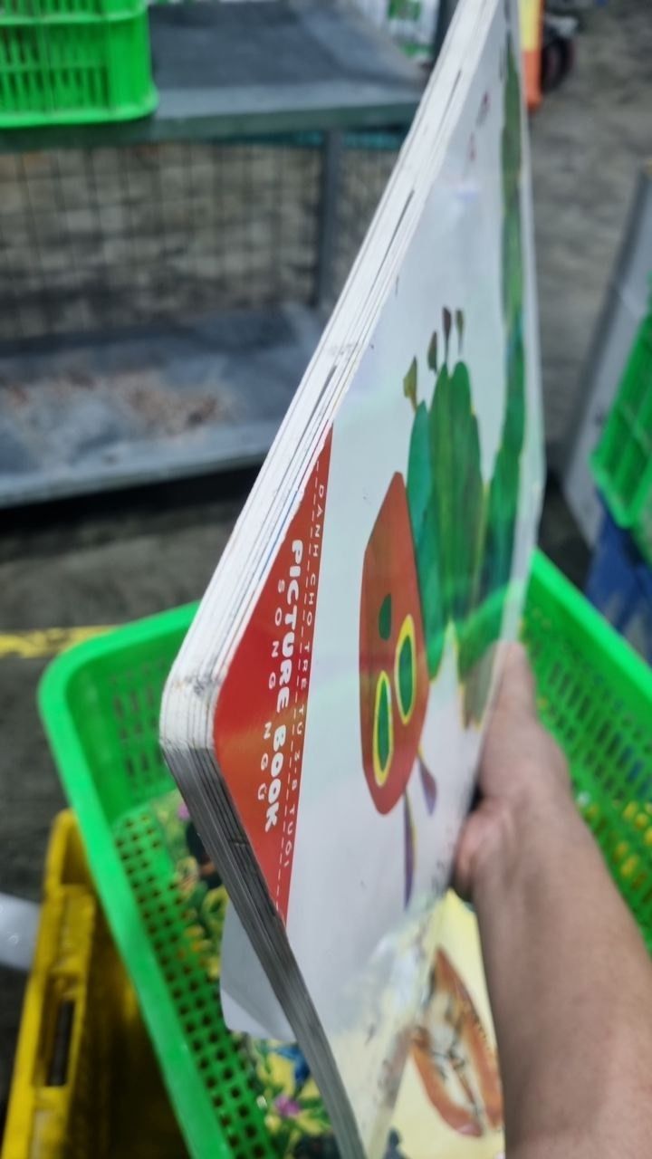 Chú Sâu Háu Ăn - The Very Hungry Caterpillar (Phiên Bản Khổ Lớn)