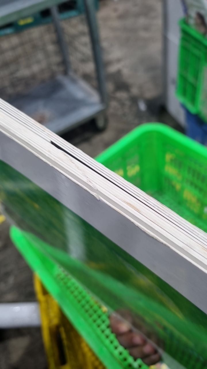 Chú Sâu Háu Ăn - The Very Hungry Caterpillar (Phiên Bản Khổ Lớn)