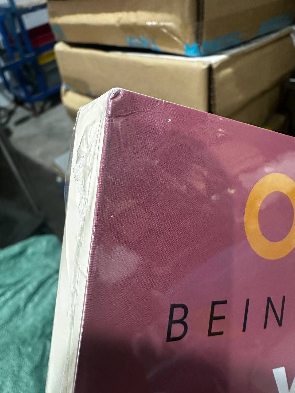 Sách OSHO Yêu - Being In Love - Yêu Trong Tỉnh Thức