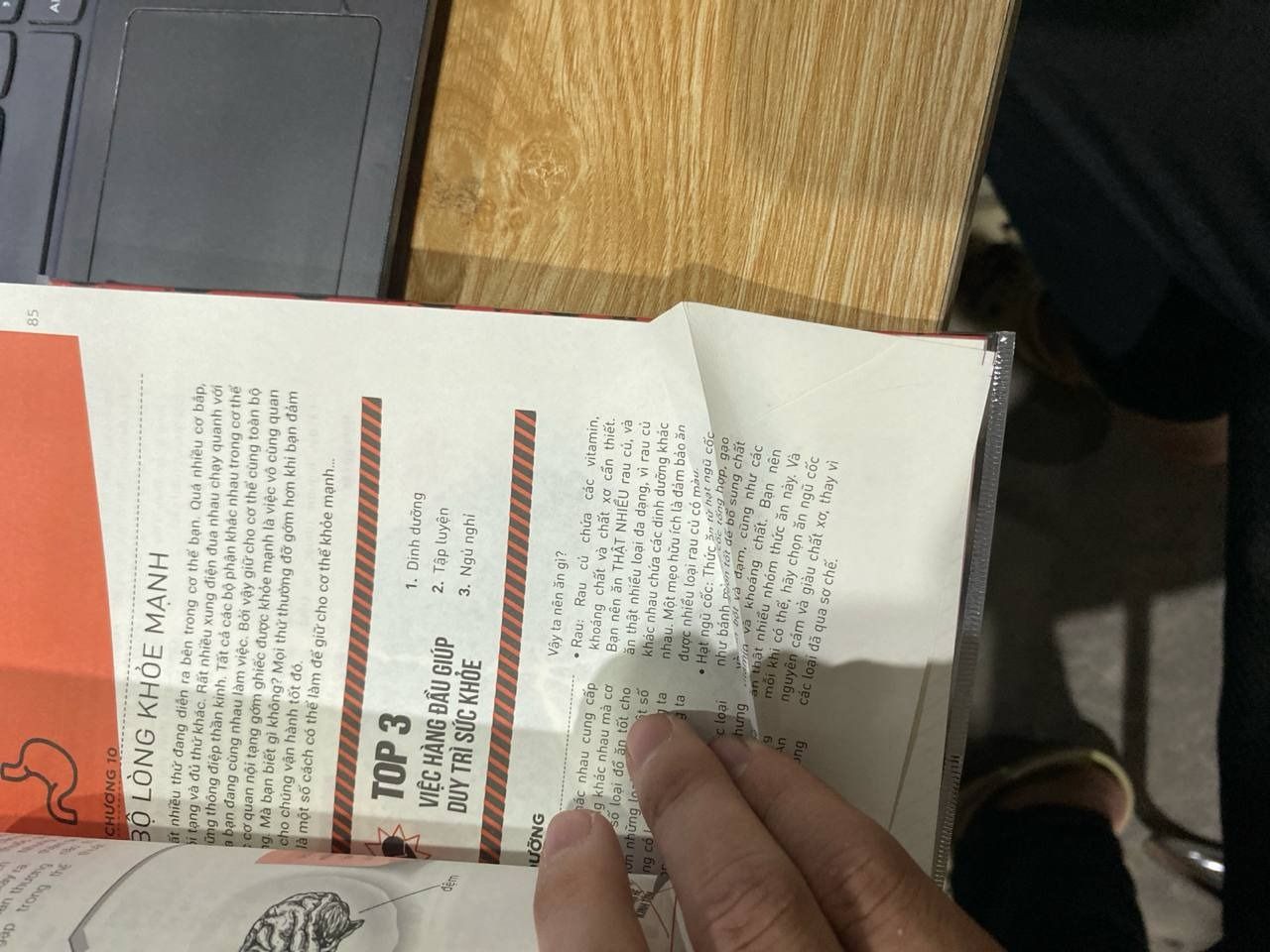 Sách Cẩm Nang Khám Phá Cơ Thể Người (Tặng Kèm Bookmark)