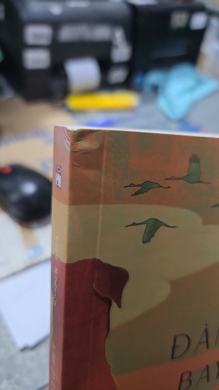 Sách Khi Đàn Sếu Bay Về Phương Nam