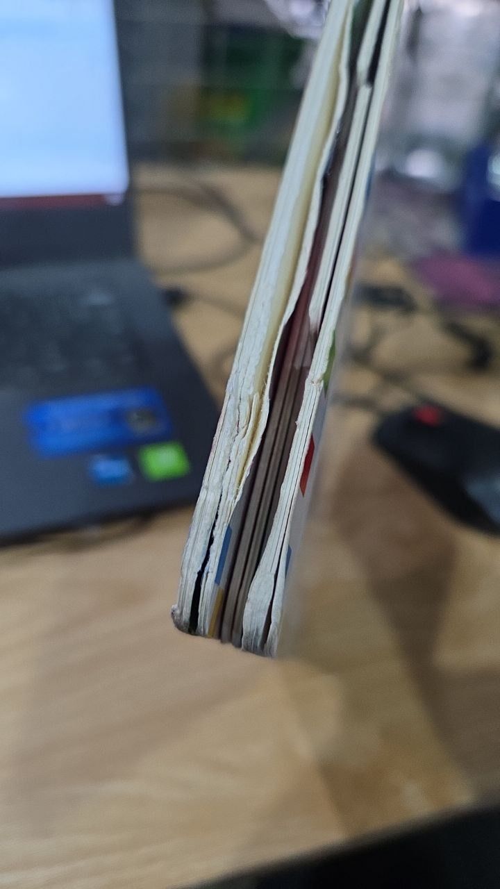 Cuốn Sách Đầu Tiên Của Bé - Các màu sắc - Dành Cho Bé Từ 3-5 Tuổi