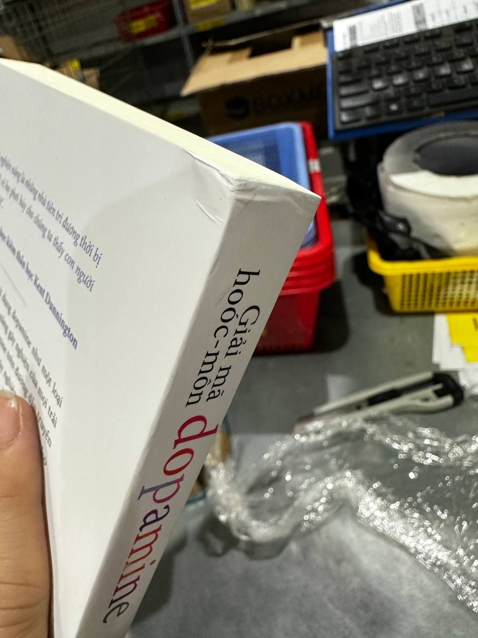 Combo One Piece (101 Tập) (Tái Bản)