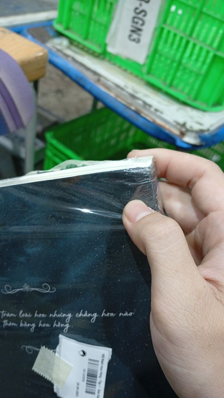 Mỹ Nam Hoa Hồng - Tập 1 - Bản Đặc Biệt