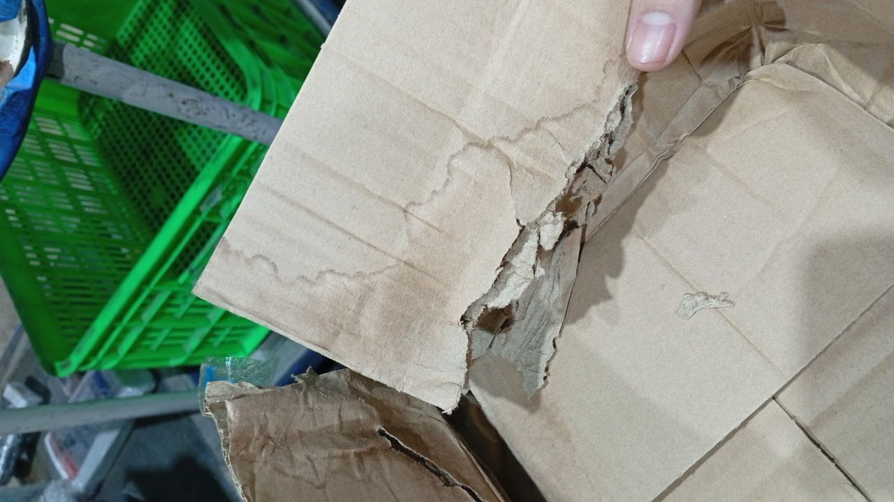 Sức Mạnh Của Người Hướng Nội - Lý Do Thế Giới Cần Bạn Là Chính Bạn