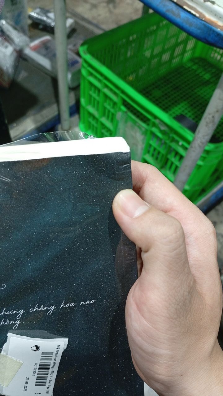 Mỹ Nam Hoa Hồng - Tập 1 - Bản Đặc Biệt