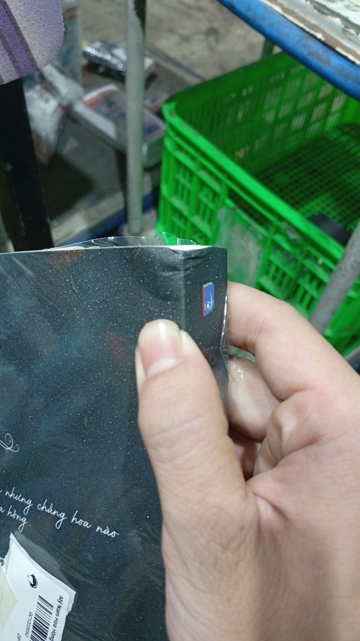 Mỹ Nam Hoa Hồng - Tập 1 - Bản Đặc Biệt