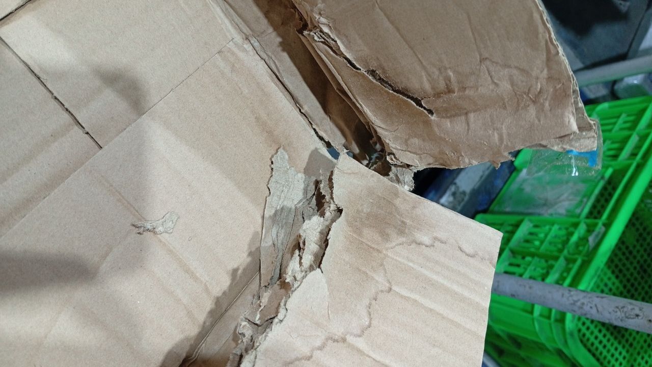 Thế Giới Trong Lòng Giếng