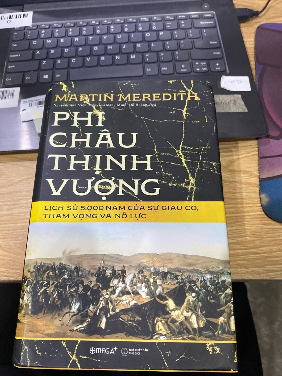 Sách Phi Châu Thịnh Vượng - Lịch Sử 5.000 Năm Của Sự Giàu Có, Tham Vọng Và Nỗ Lực