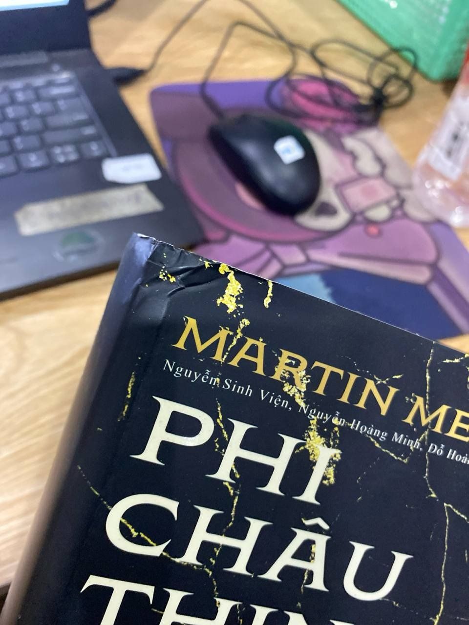 Sách Phi Châu Thịnh Vượng - Lịch Sử 5.000 Năm Của Sự Giàu Có, Tham Vọng Và Nỗ Lực