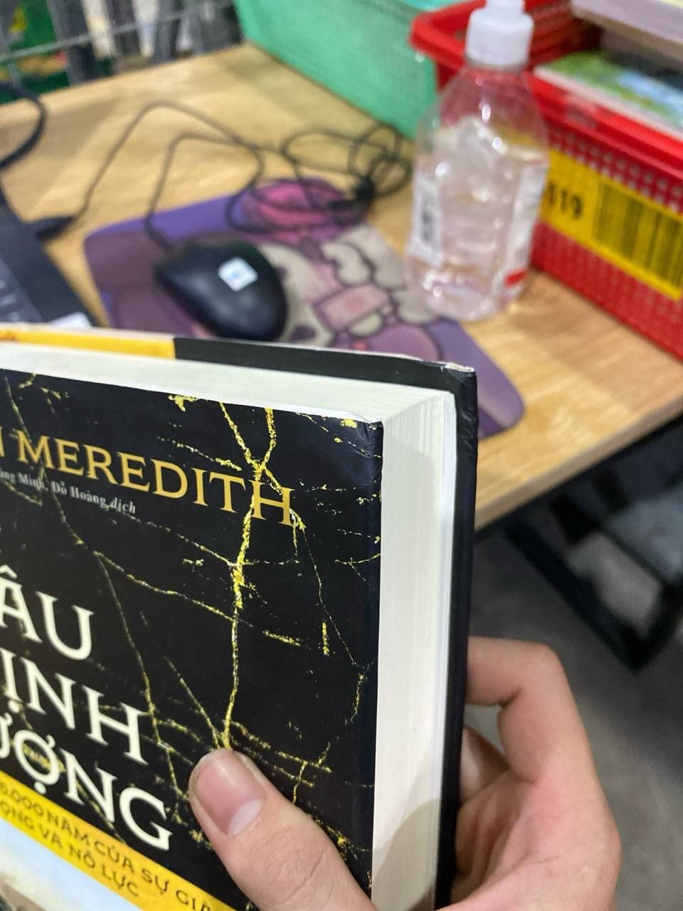 Sách Phi Châu Thịnh Vượng - Lịch Sử 5.000 Năm Của Sự Giàu Có, Tham Vọng Và Nỗ Lực