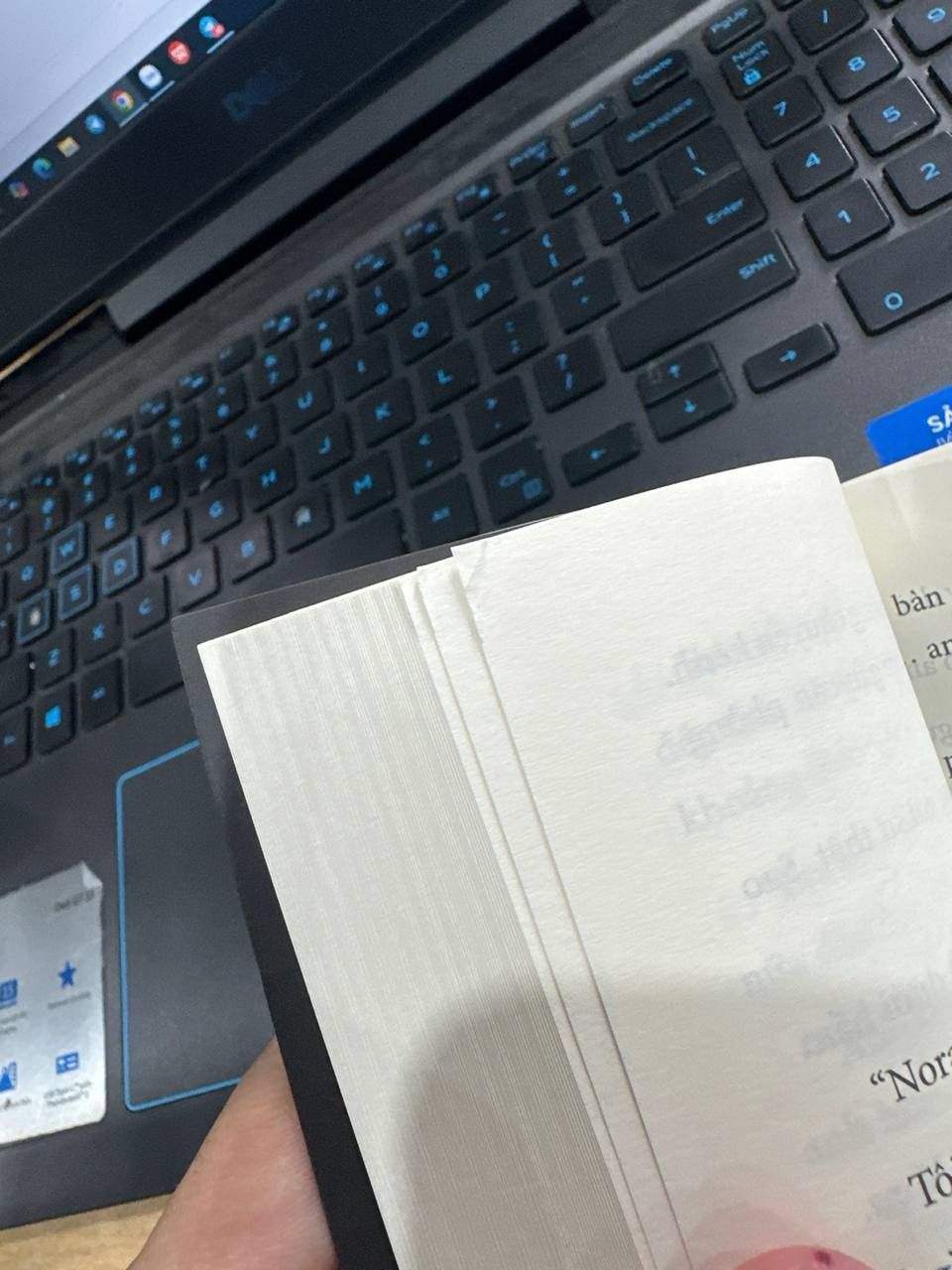 Sau Cánh Cửa Khóa Kín