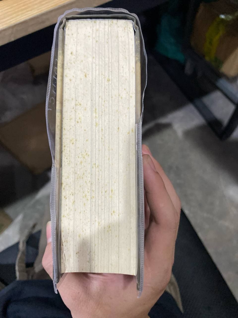 Sách The Last Hours: Chain of Thorns