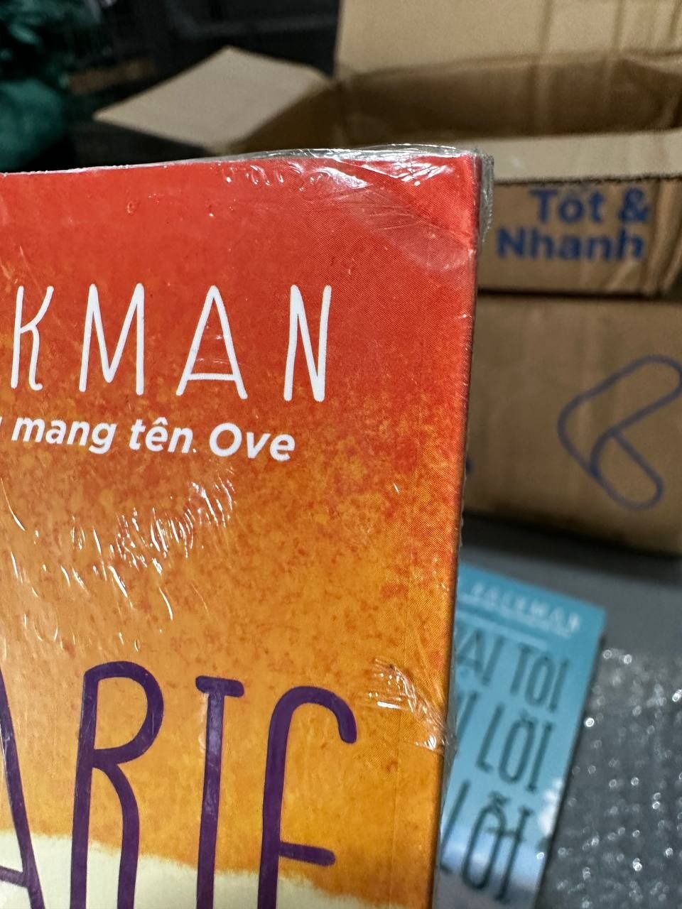 Britt-Marie Đã Ở Đây (Fredrid Backman)