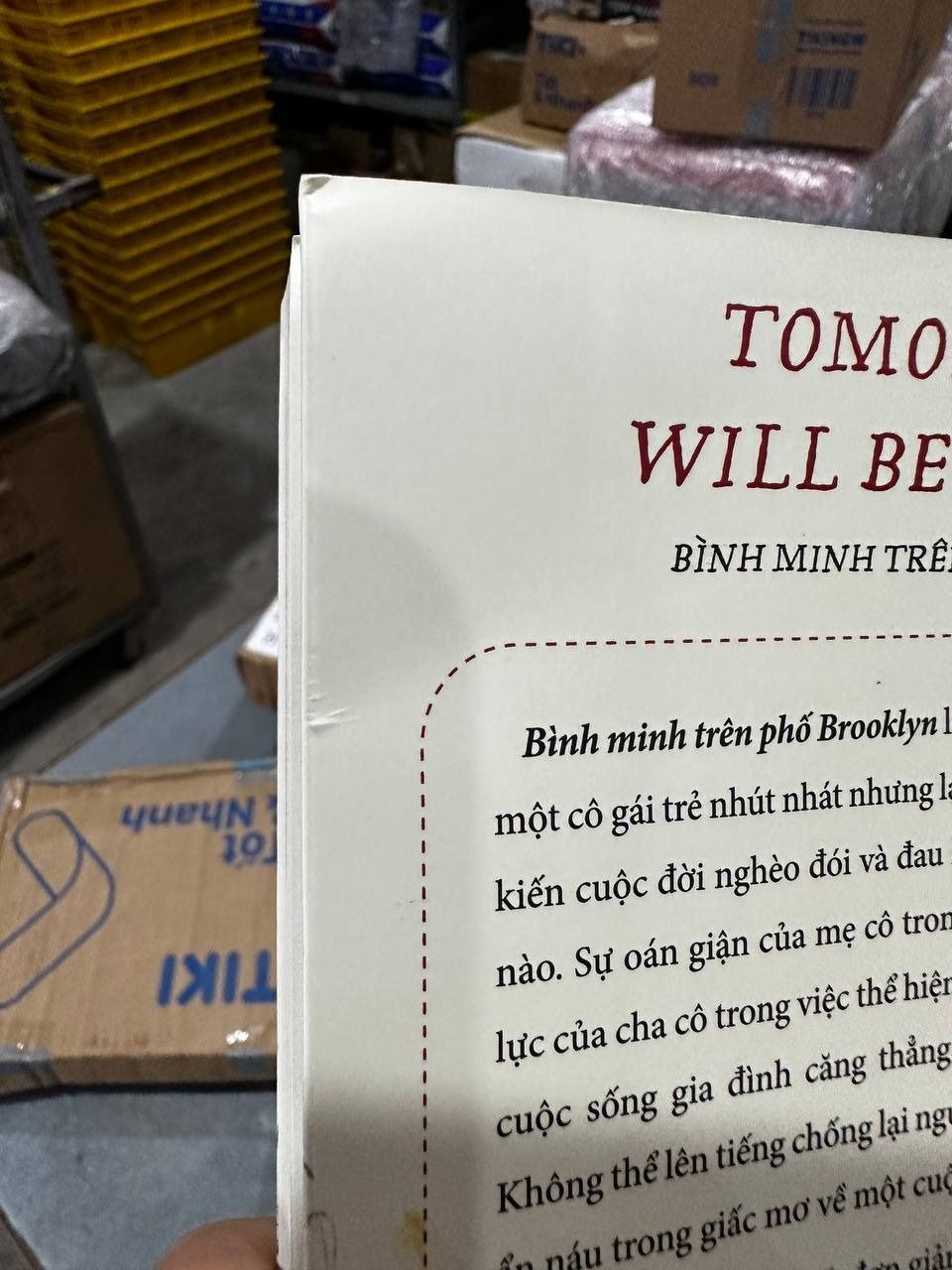 Bình Minh Trên Phố Brooklyn