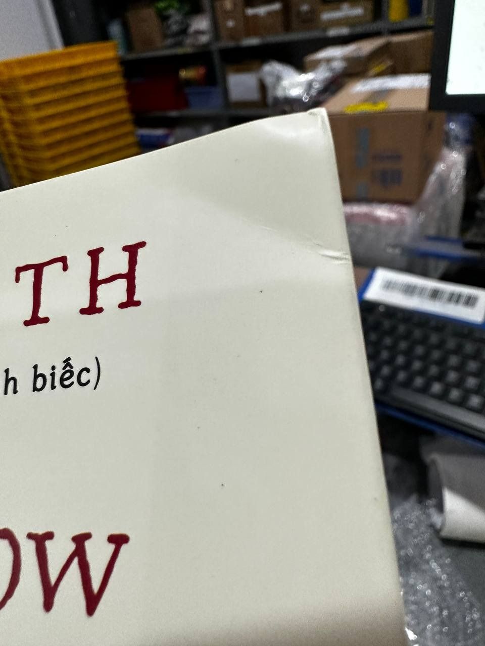 Bình Minh Trên Phố Brooklyn