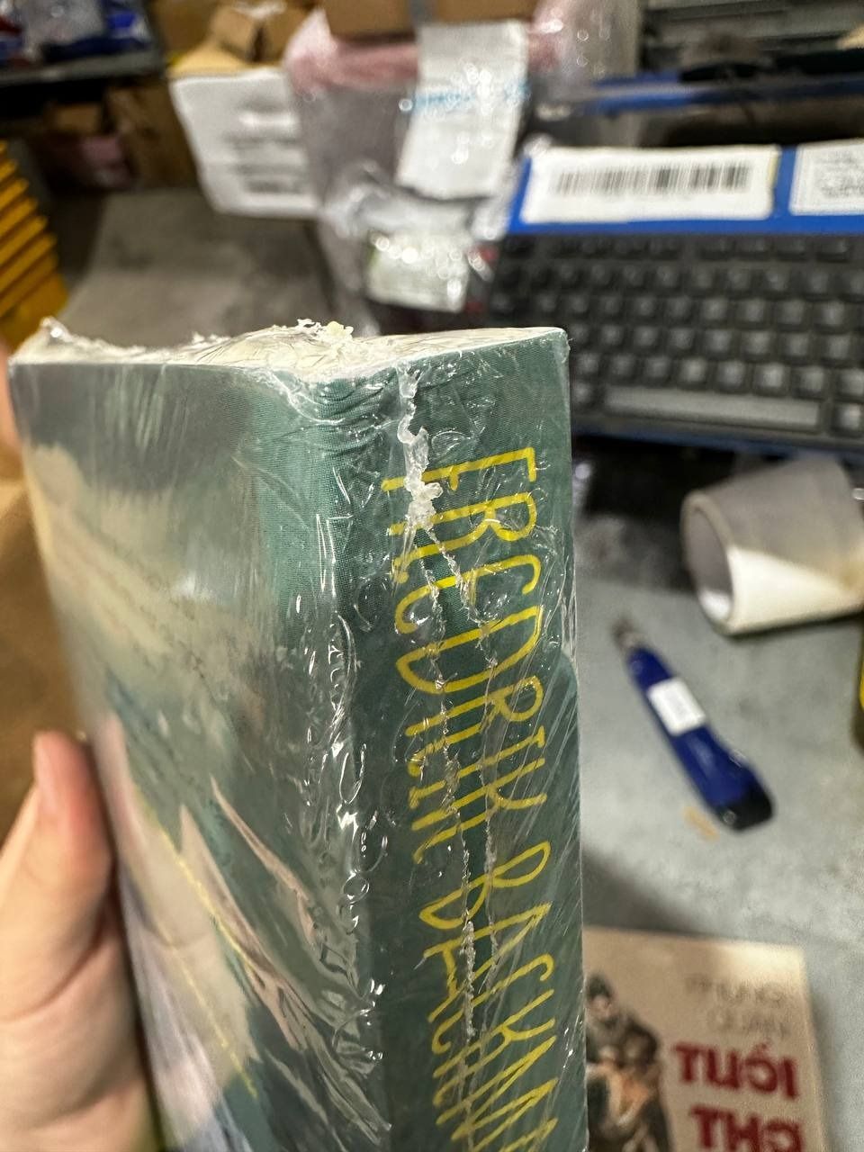 Người Đàn Ông Mang Tên Ove (Tái Bản 2022)