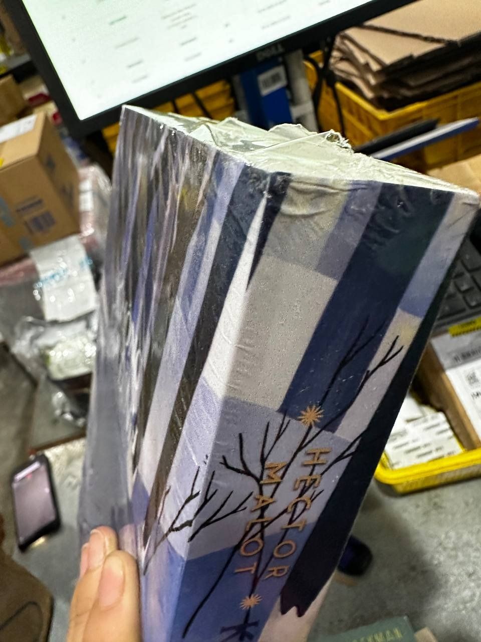 Không Gia Đình (Tái Bản) - BÌA MỀM