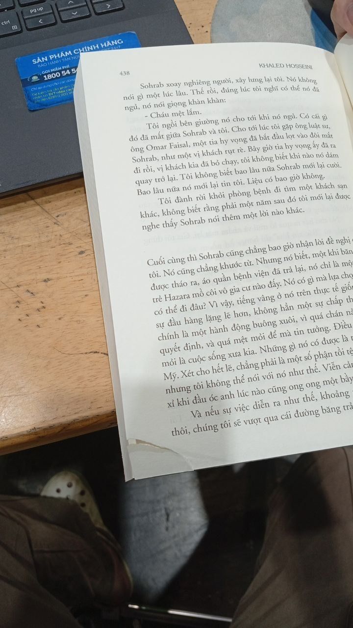 Người Đua Diều (Tái Bản 2018)