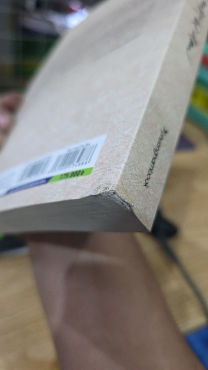 Thả Một Bè Lau - Truyện Kiều Dưới Cái Nhìn Thiền Quán