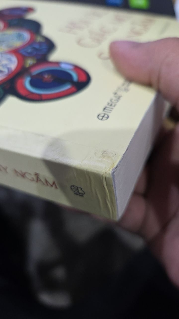 Sách Hồi Ức, Giấc Mơ, Suy Ngẫm - Hành Trình Vào Nội Tâm Của Carl Jung – Nơi Ký Ức, Giấc Mơ Và Triết Lý Giao Thoa