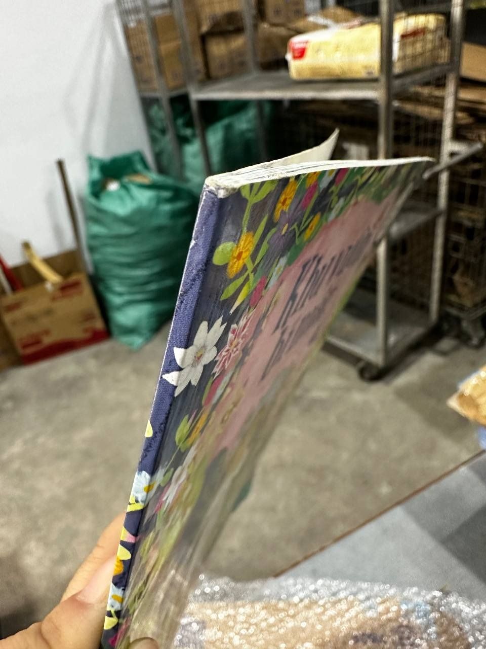 Khu Vườn Bí Mật - Phiên Bản Kể Lại Đầy Lôi Cuốn Của Các Tác Phẩm Văn Học Kinh Điển