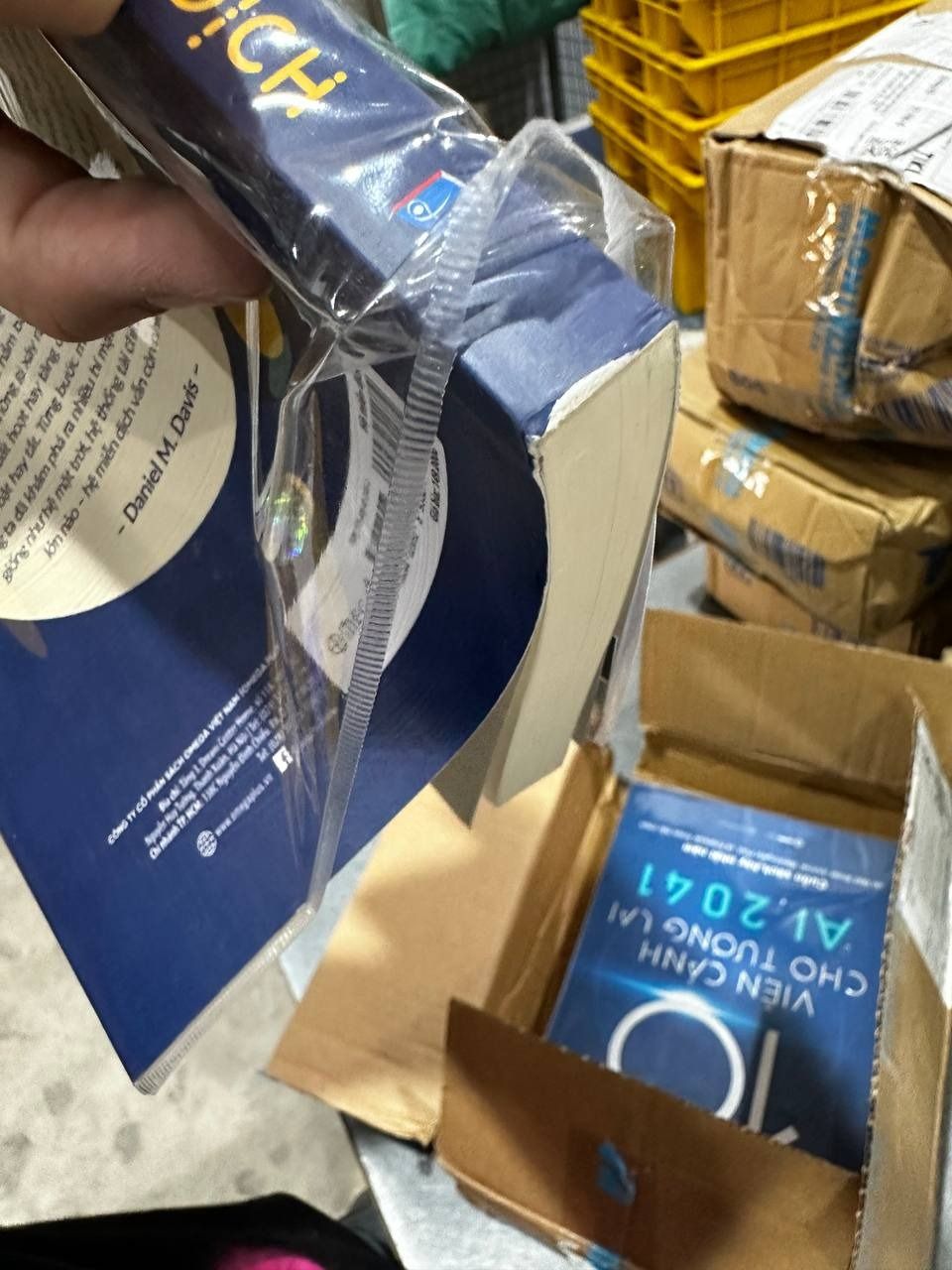 Hệ Miễn Dịch: Khám Phá Cơ Chế Tự Phòng Chữa Bệnh Của Cơ Thể Người