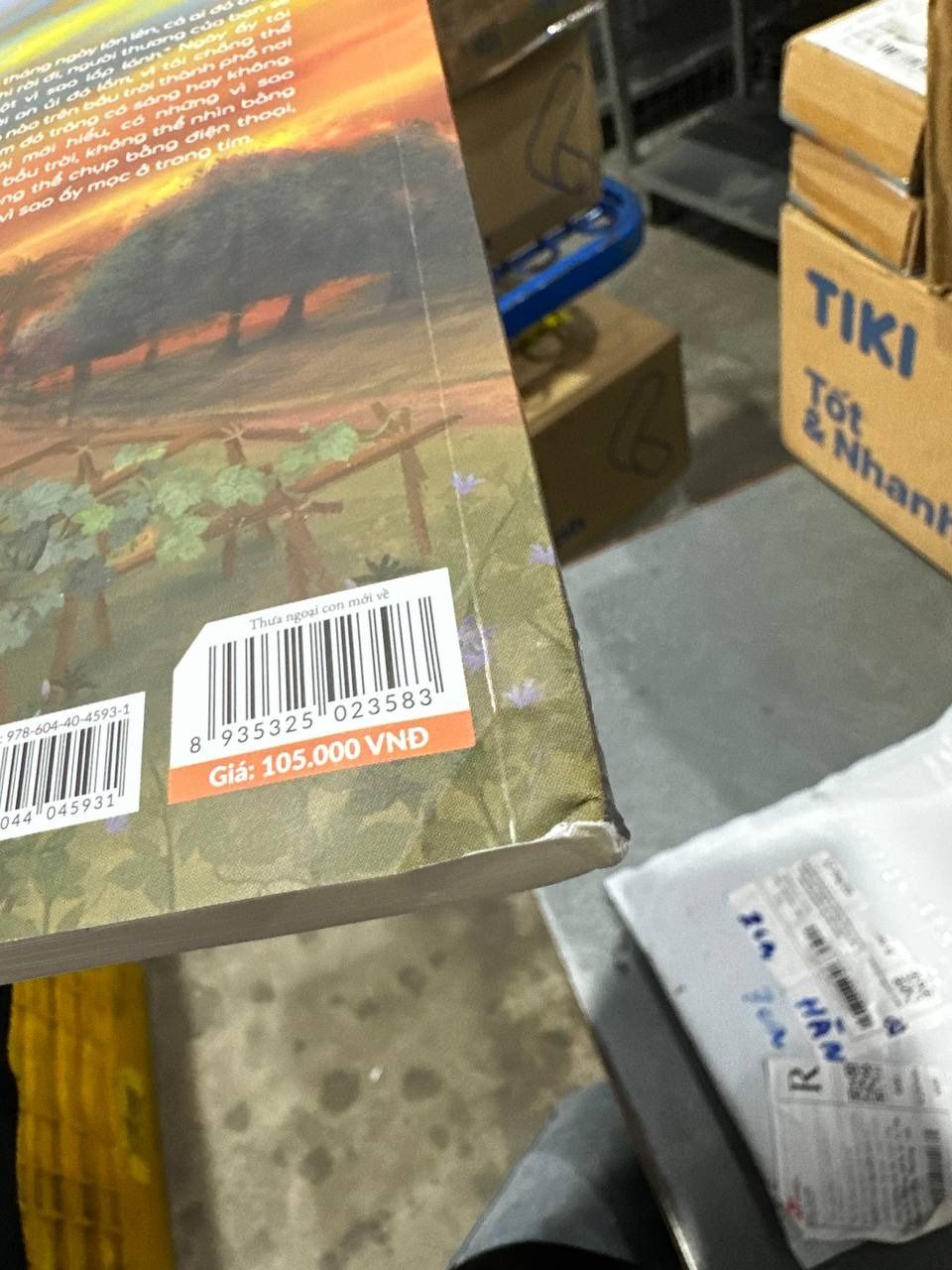 Thưa ngoại con mới về - Bản Thường