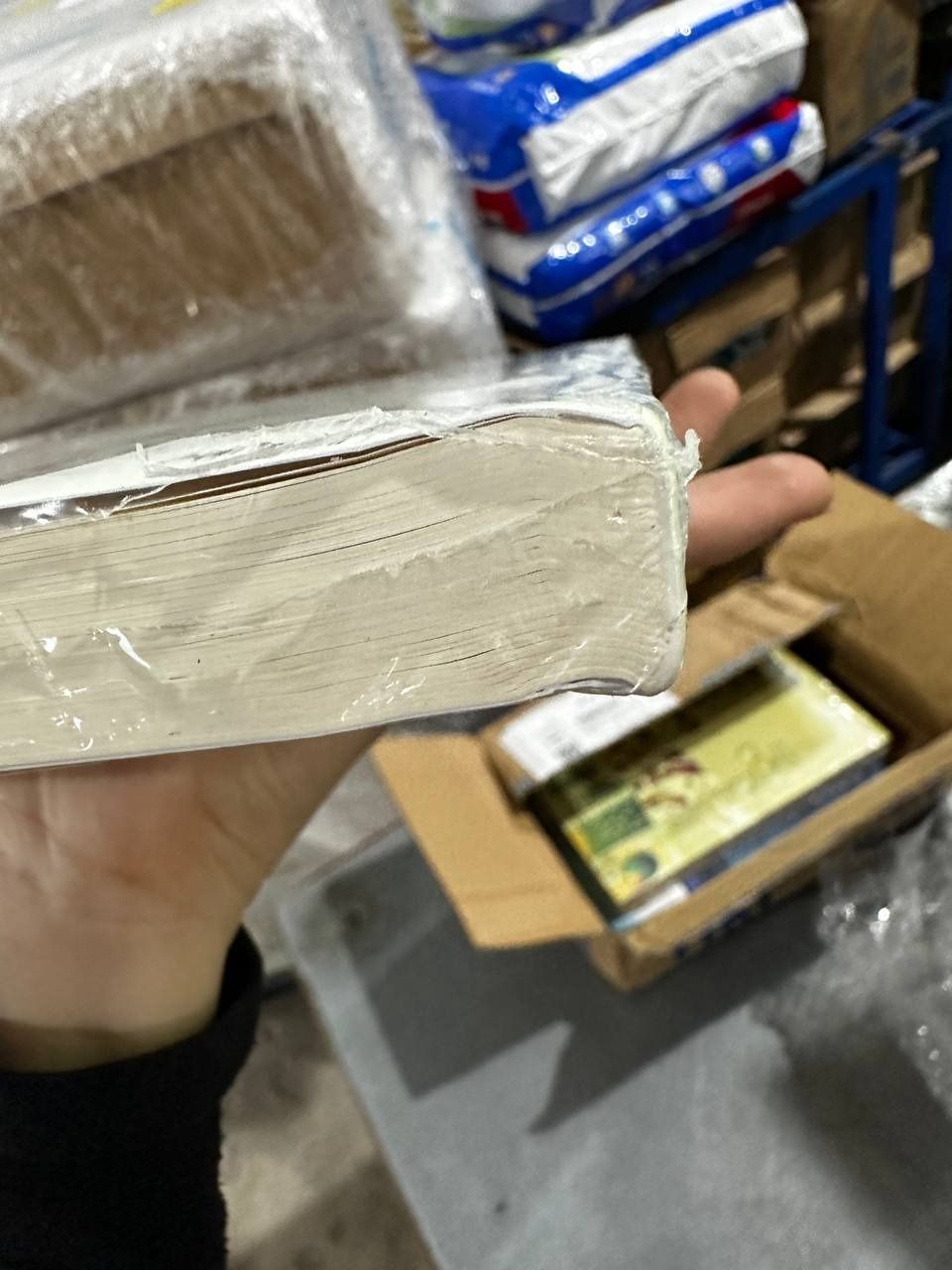 Lược Sử Khảo Cổ Học