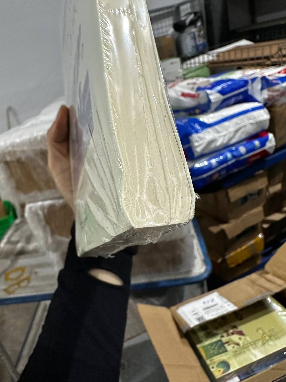 Lược Sử Khảo Cổ Học