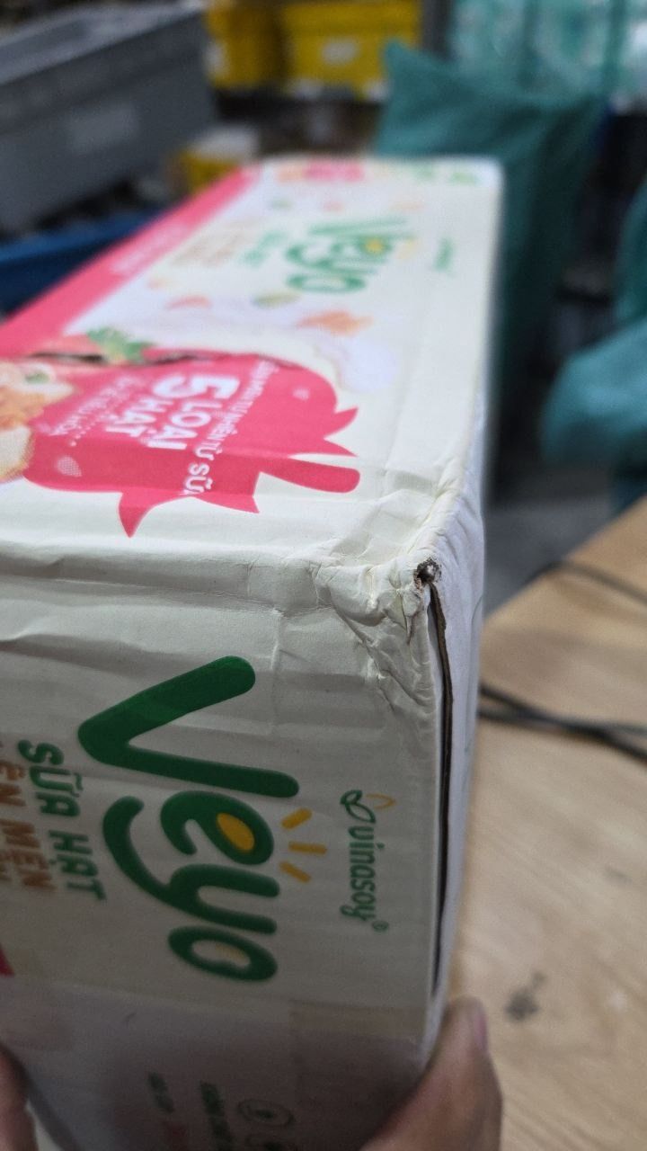 Thùng Veyo Sữa hạt lên men tự nhiên Vị Dâu Nhật (30hộp x 180ml)