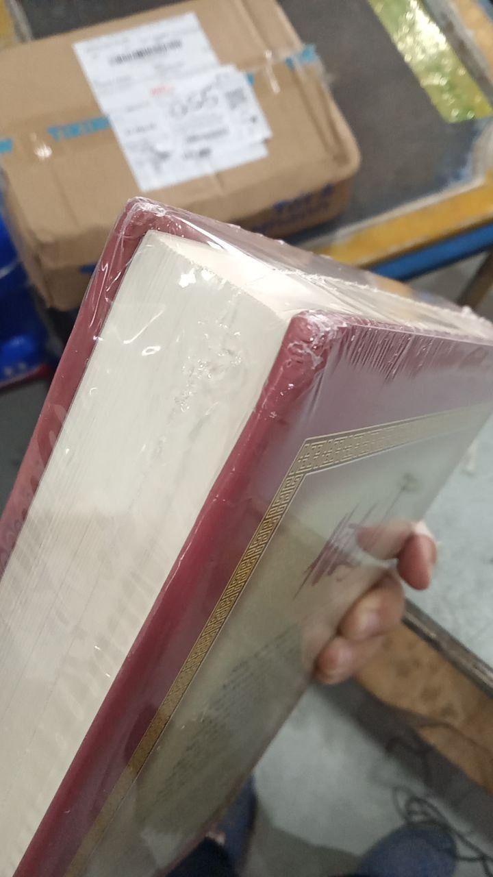 Sách Hồ Quý Ly (Tái Bản)