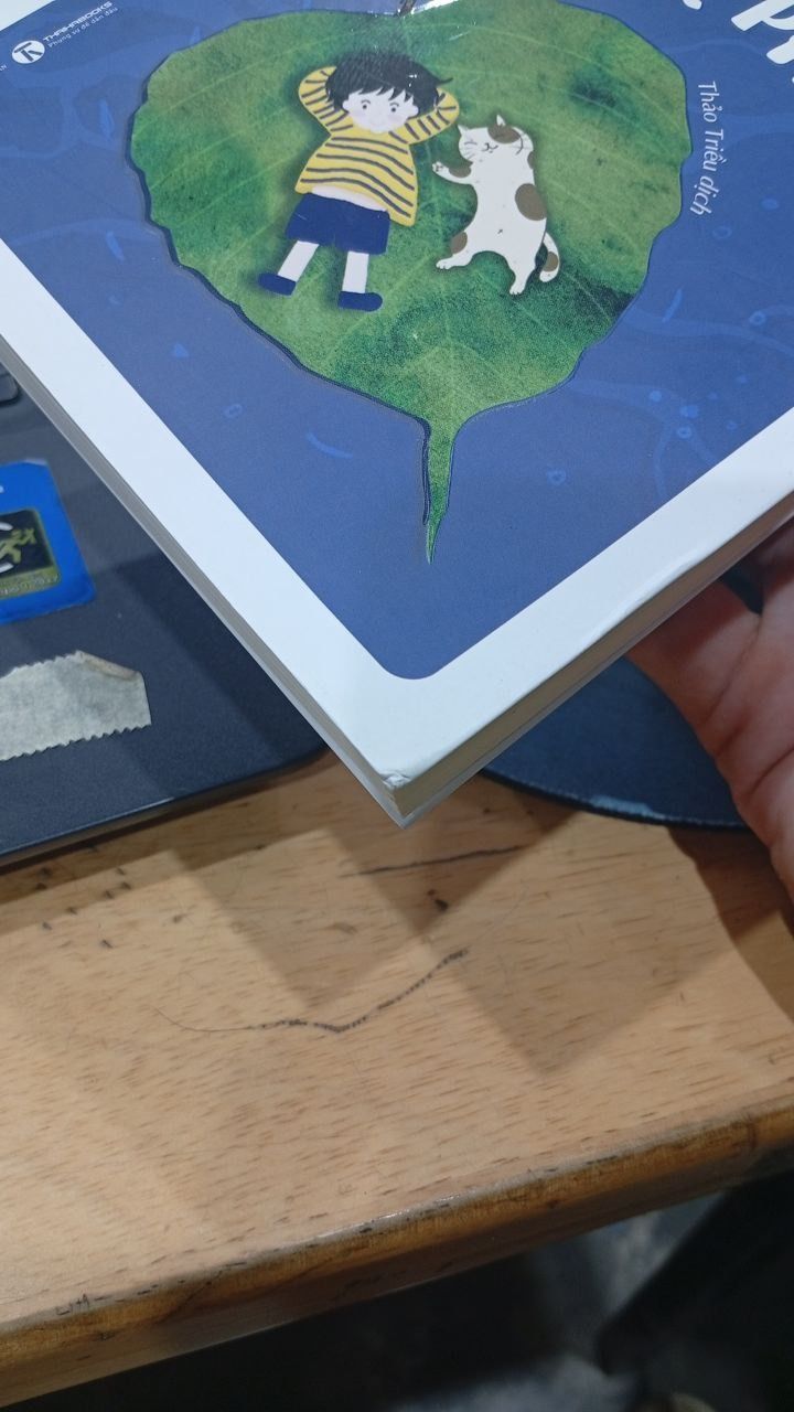 Nuôi Dạy Con Bằng Trái Tim Của Một Vị Phật - 2024