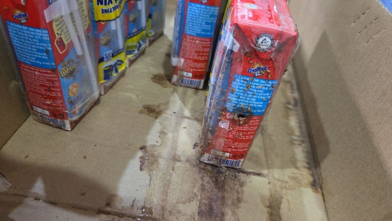 Thùng 48 hộp thức uống lúa mạch hương vị socola Ovaltine DHA+ 180ml