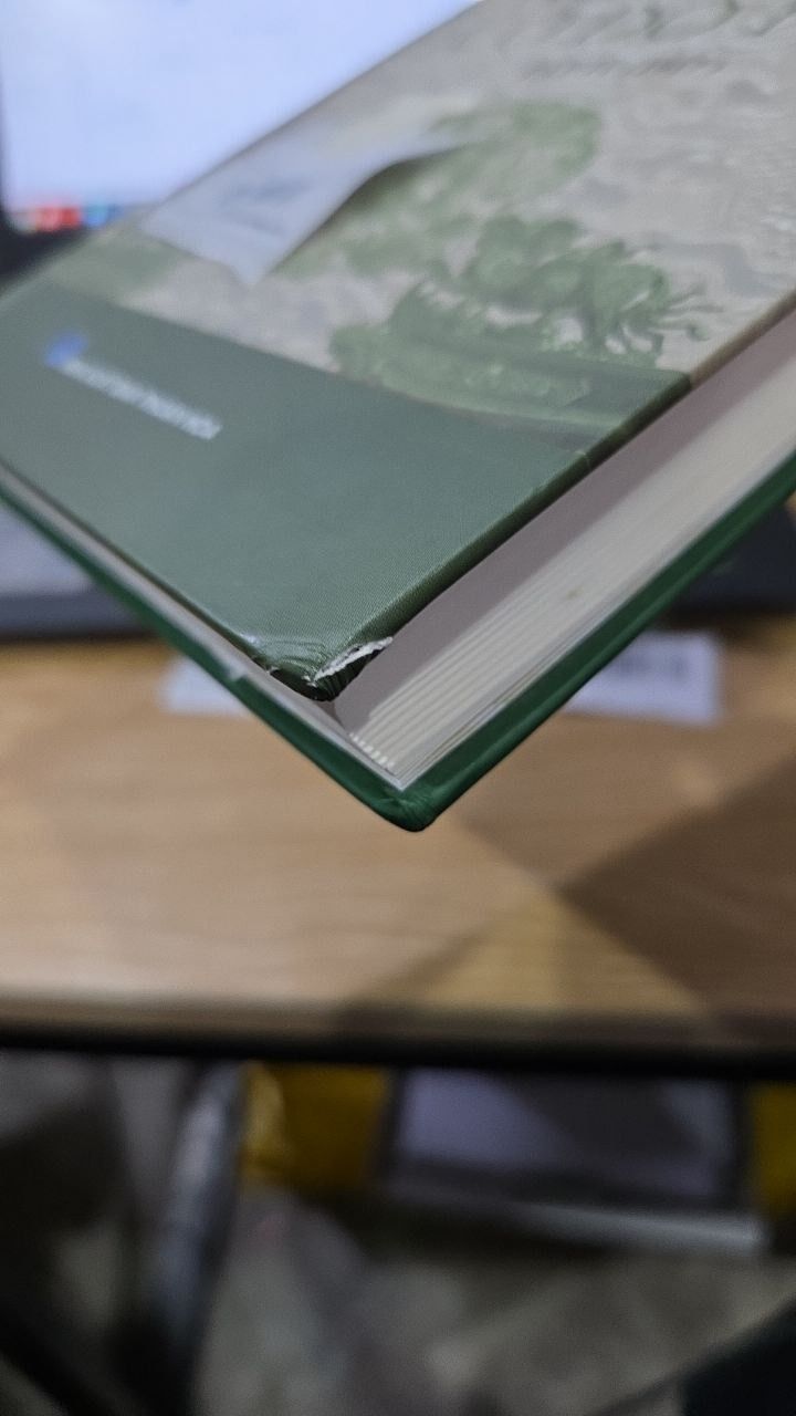 Sách Những Người Bạn Cố Đô Huế (Tập IV - 1917)