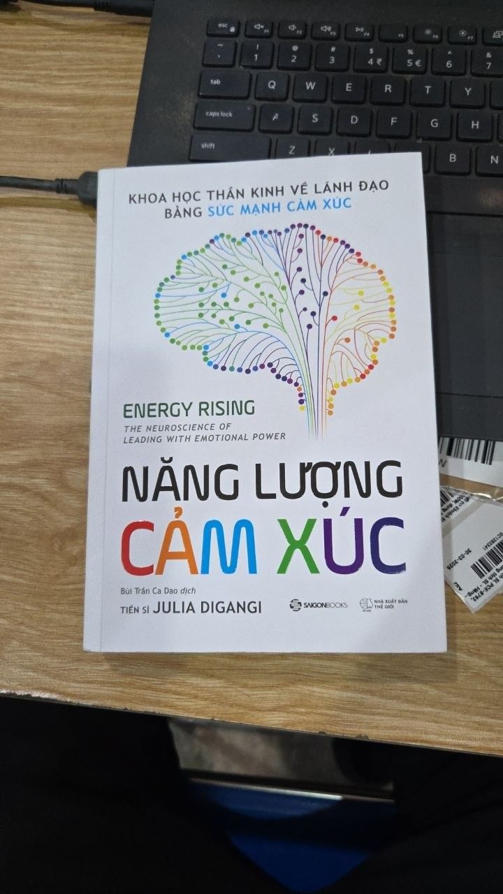 Sách Năng Lượng Cảm Xúc - Khoa học thần kinh về lãnh đạo bằng sức mạnh cảm xúc