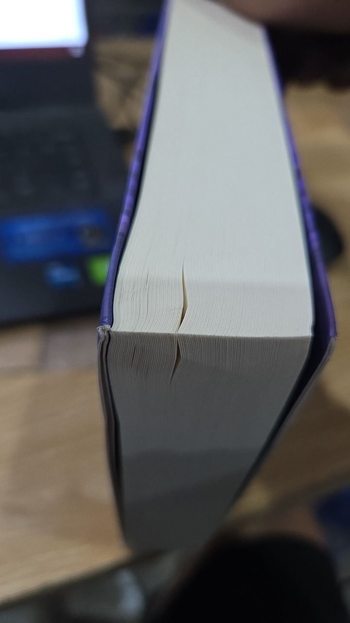 Sách Sơn Trà Nở Muộn