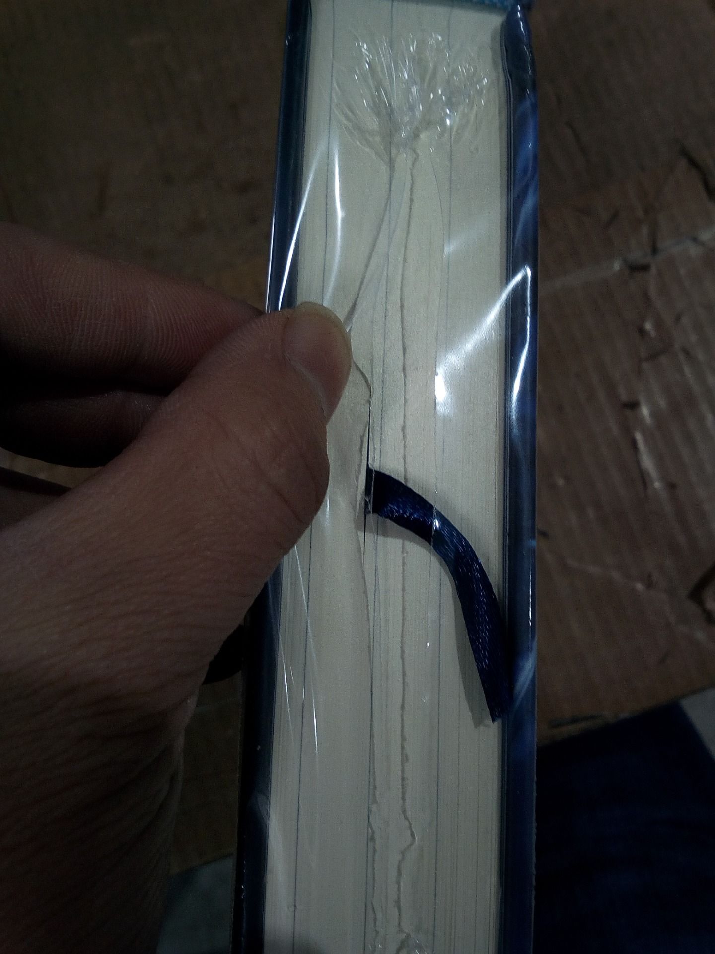 Sách Cây Nấm Nhỏ (Phiên Bản Toàn Tập)