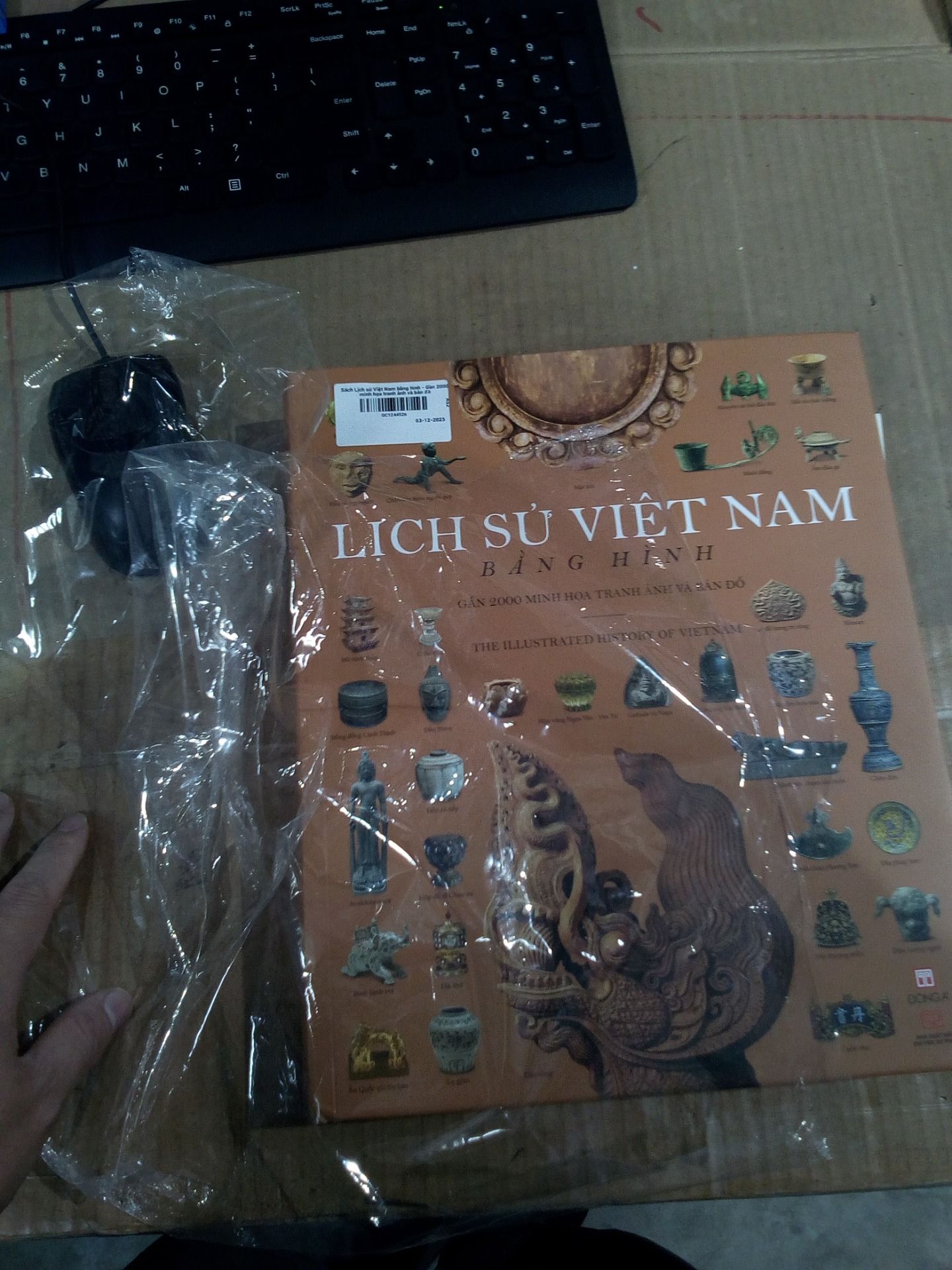 Sách Lịch sử Việt Nam bằng hình - Gần 2000 minh họa tranh ảnh và bản đồ