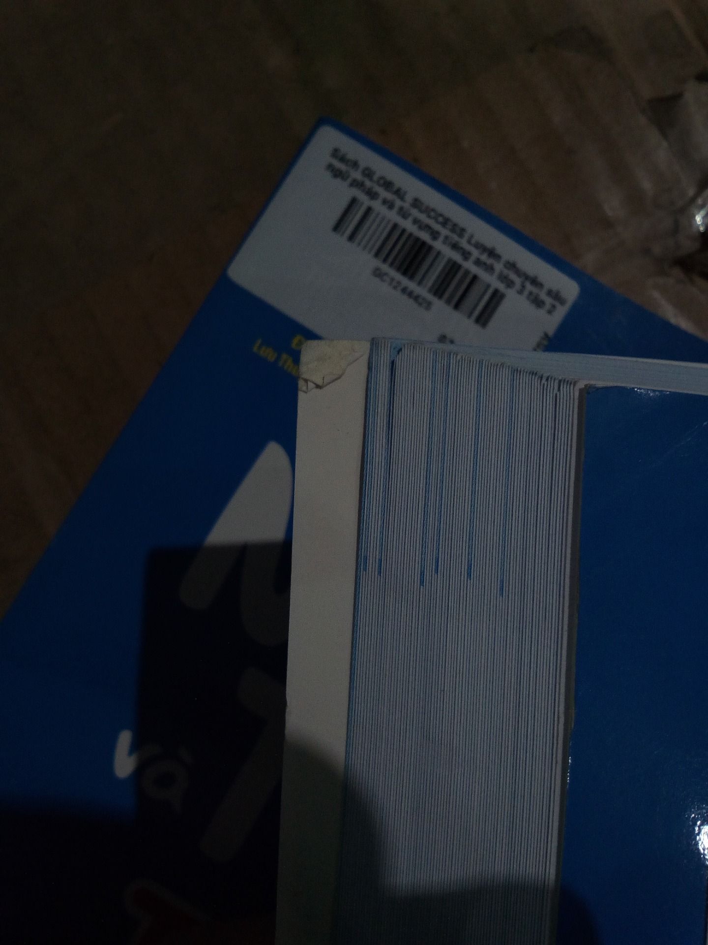 Sách GLOBAL SUCCESS Luyện chuyên sâu ngữ pháp và từ vựng tiếng anh lớp 3 tập 2