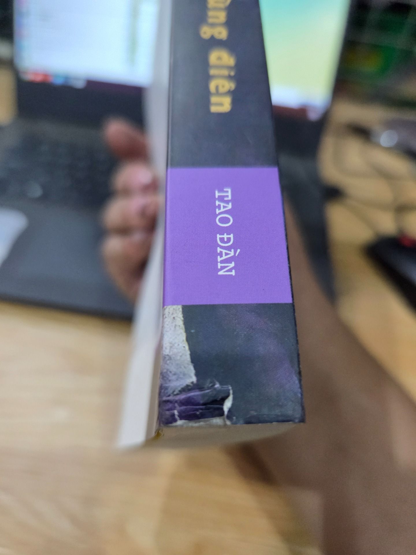 Sách Bảy Kẻ Khùng Điên