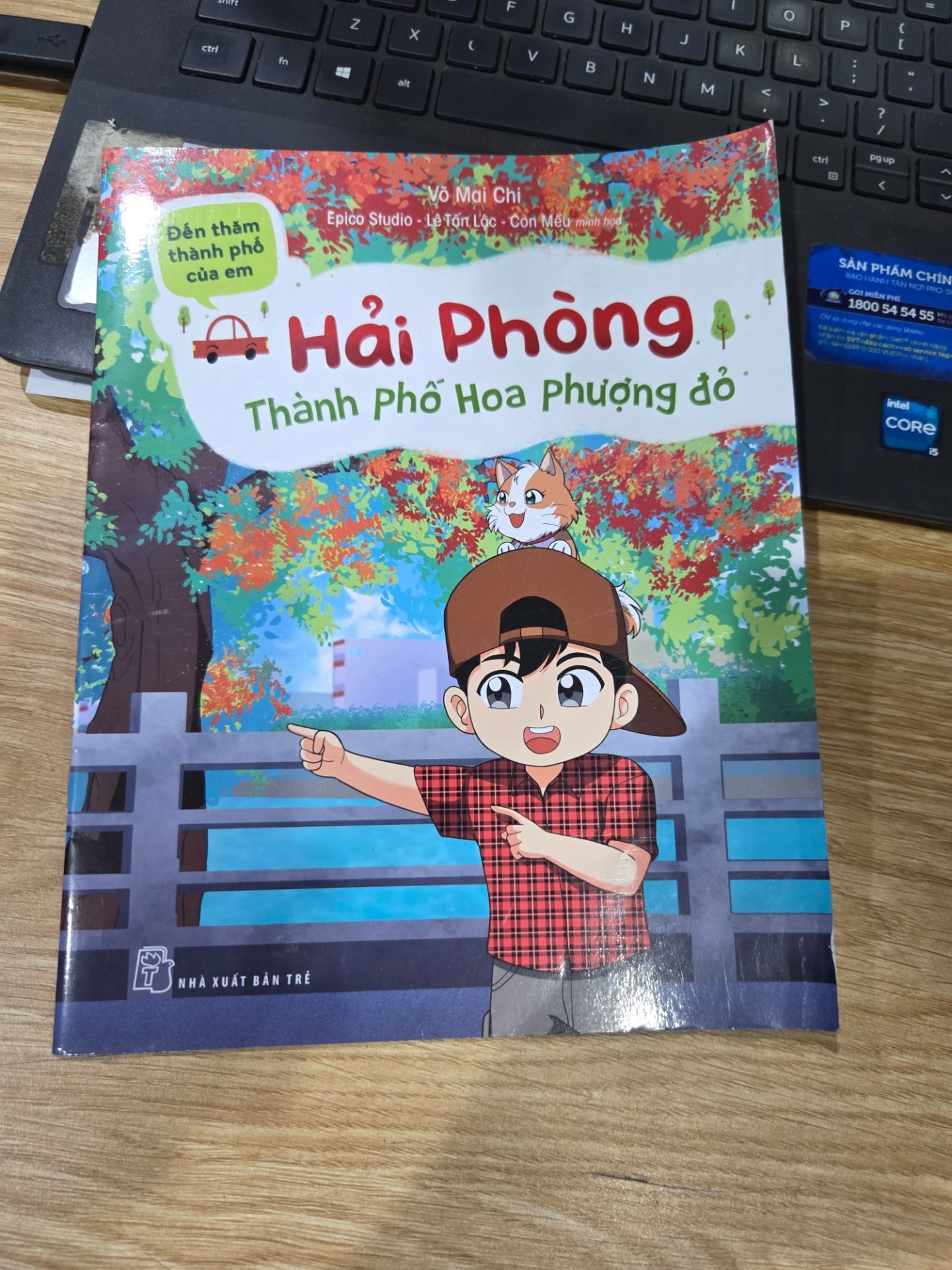 Sách Series các tập Đến thăm thành phố của em - Hải Phòng - Thành phố hoa phượng đỏ