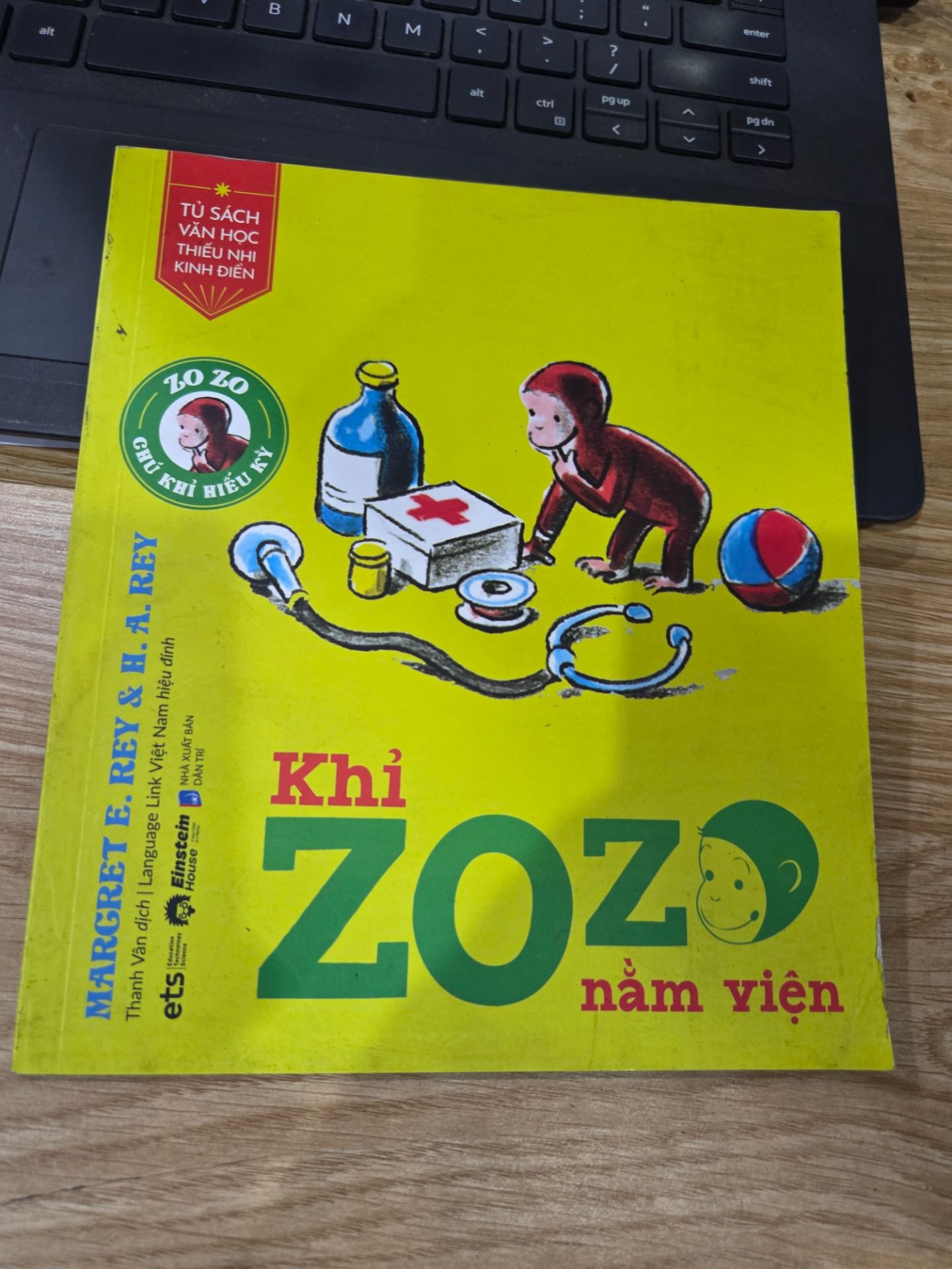 Bộ sách Khỉ Zozo - Khỉ Zozo Nằm Viện