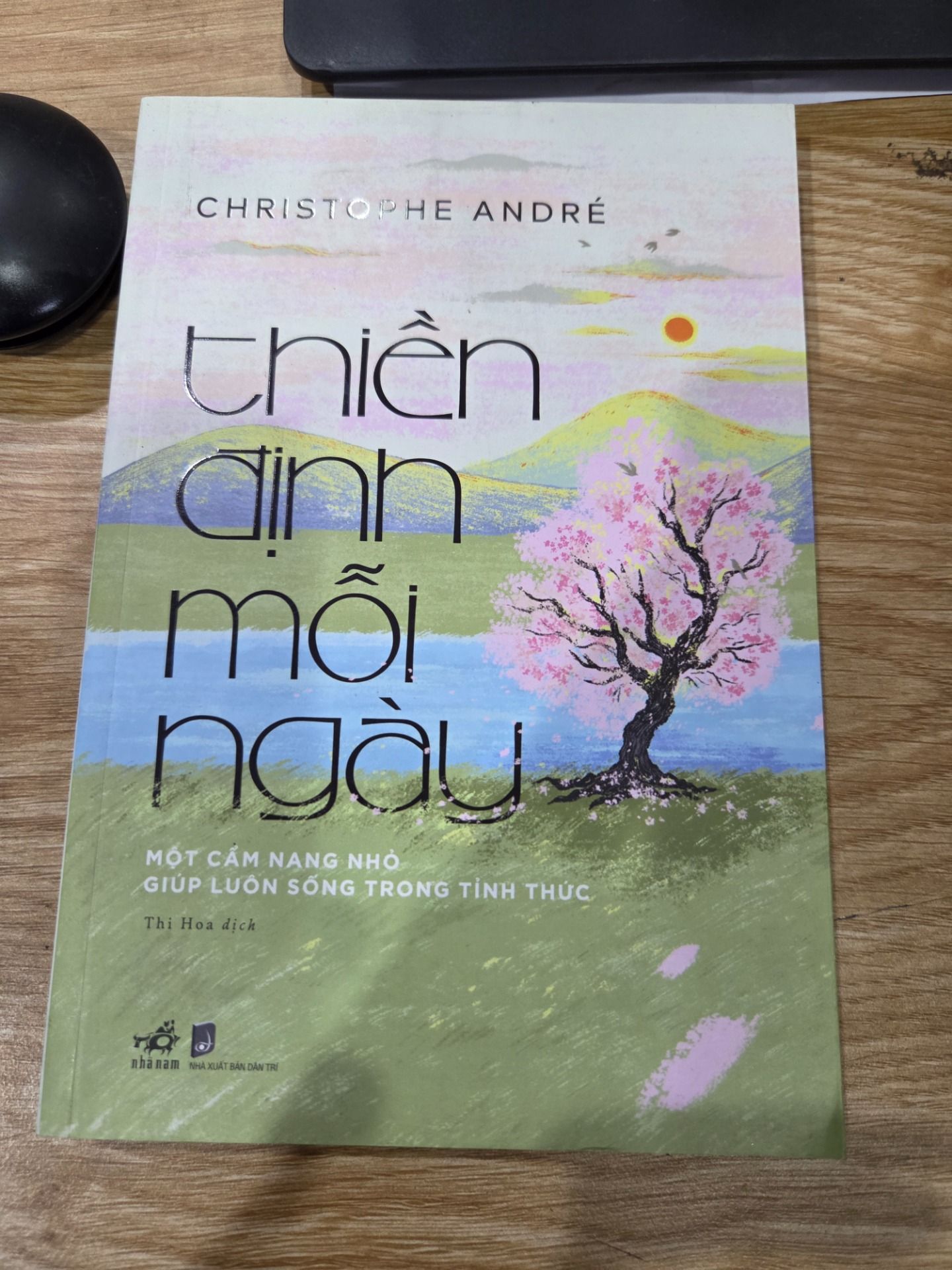 Sách Thiền Định Mỗi Ngày - Một Cẩm Nang Nhỏ Giúp Luôn Sống Trong Tỉnh Thức