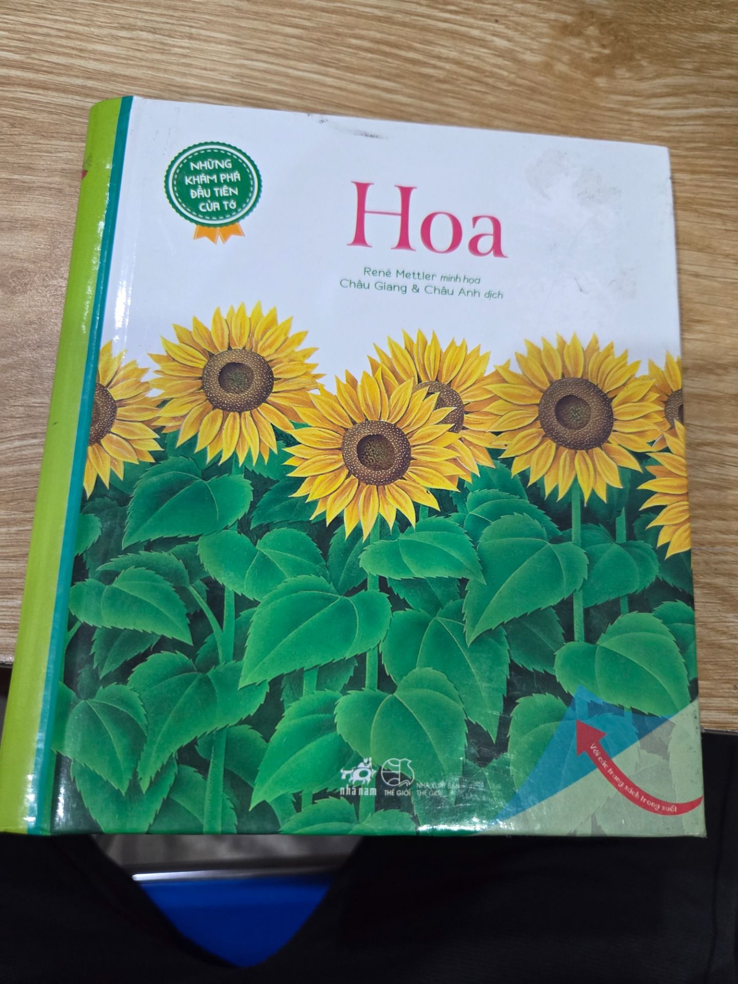 Sách Những Khám Phá Đầu Tiên Của Tớ: Hoa