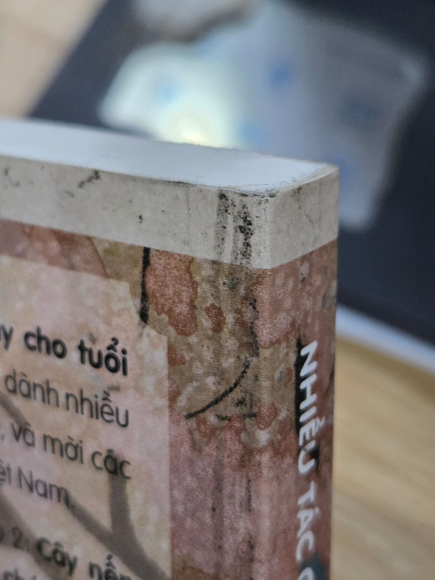 Tác Giả Kinh Điển Nhật Bản_Truyện Hay Cho Tuổi Học Đường - Tập 2: Cây Nến Đỏ Và Nàng Tiên Cá